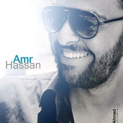 amr hassan poet