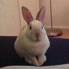 Arjan van Schaardenburg