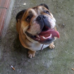 juaky