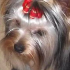 Julia Medallion Perry