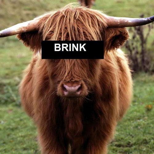 SoundCloud profile picture for @brink