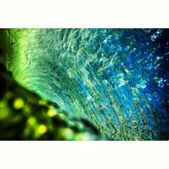 bfallonphoto