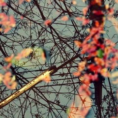 shu_manush