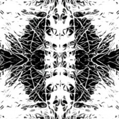 Sinew (sinyo͞o)