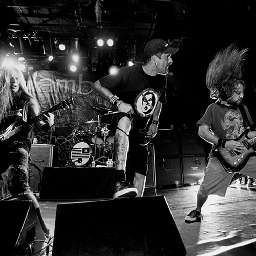 מופע הארנבות של דוקטור קספר-תראו אותי (Cover)