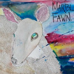 Marble Fawn