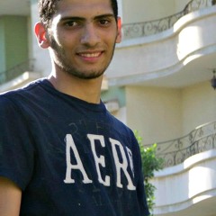 Amr M. Emam