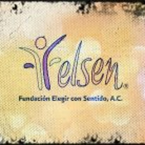 Felsen Fundación Sentido’s avatar