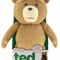 plaast tedd