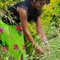 Manshika