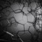 Emergent-