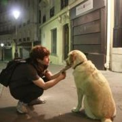 기억을 걷는 시간