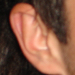 Lprcruz3