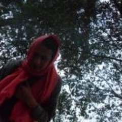 Sarva Shakty Dannzjool