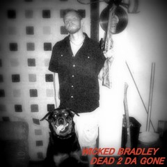 Wicked Bradley Productionz