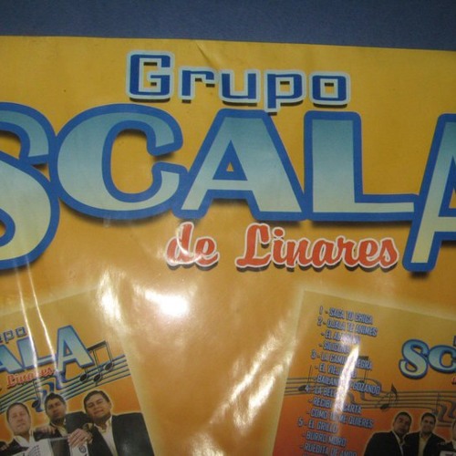Grupo scala’s avatar