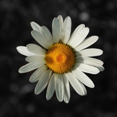 nnatua