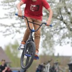 Niki Luther