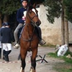 Davide Marley Birriolo