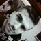 Joel F