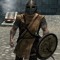Whiterun Guard