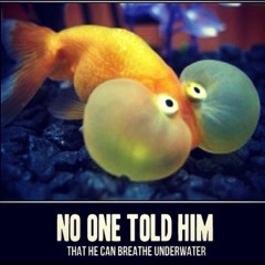 Elane Cabaron Dimapilis