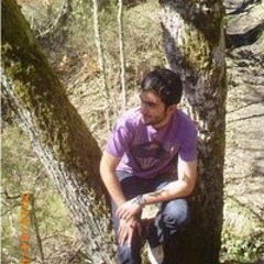 Navarro Argueso
