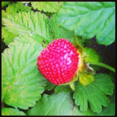 Hold You Down or Cowboy Killers (bad mic, don't care)