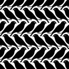Bird Patterns