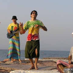 08 - Ziliota Roots - Pianta la Pianta