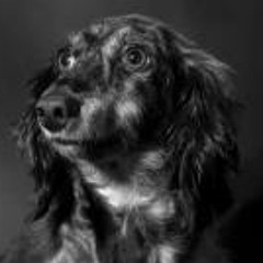 Carlos Eduardo Lopes 4