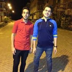Hady