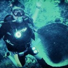 Sebastian Bartolitius