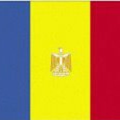 Salah ElDin M. Mostafa