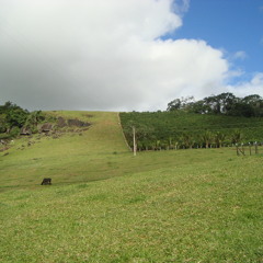 01. How Great Is Our God (Feat.Avion Blackman Y Jennifer Howland)