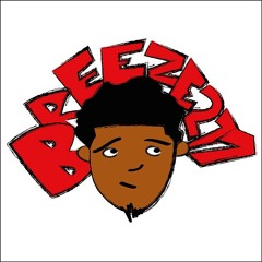 Breeze211