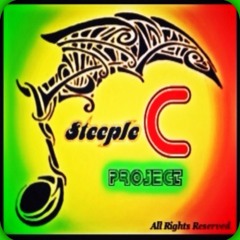 Steeple-C Project