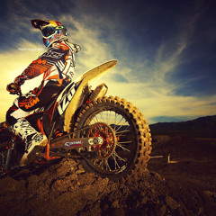 Cam Stephens