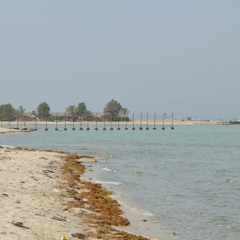 MUNTADHER Alafoo
