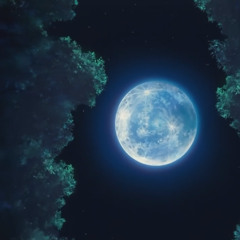 Tobias Andre Schibbye