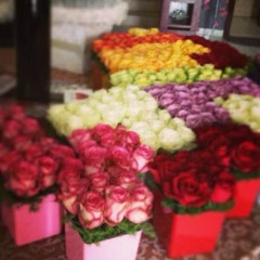 reem222