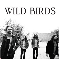 Wild Birds