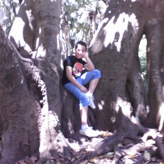 Dadou Blida
