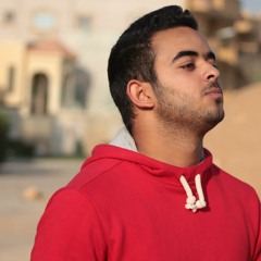 Diaa Ashraf Elmansi