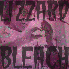 Lizzard Bleach