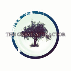The Great Attractor