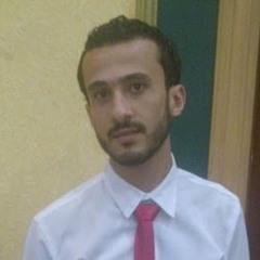 mohamed elmasry 9