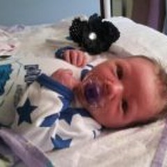 Zaccaria Dezzik Cook