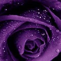 Tammy Leniece Spivey