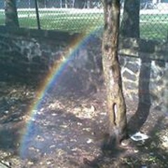 Cristian Gutiérrez 49